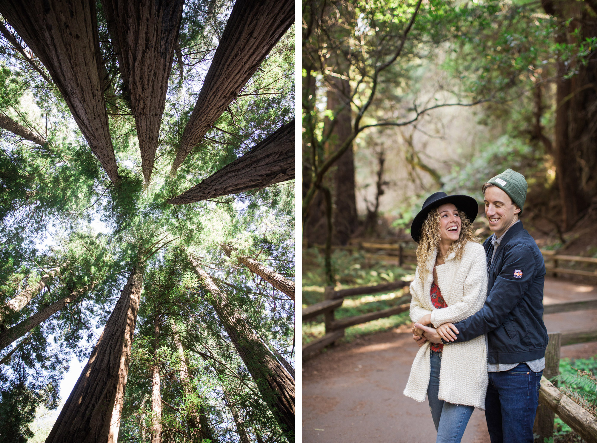 Muir Woods Redwoods engagement session outside San Francisco.