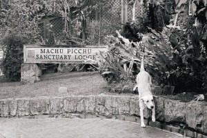 Kelly Kollar Photography, Peru, vacation, travel, Machu Picchu
