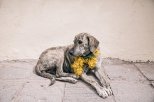 Kelly Kollar Photography, Peru, vacation, travel, Machu Picchu