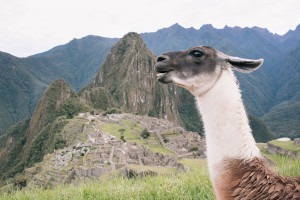 Kelly Kollar Photography, Peru, vacation, travel, Machu Picchu