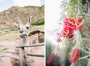 Kelly Kollar Photography, Peru, vacation, travel, Machu Picchu