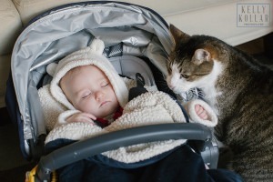 Family, baby, Manhattan, New York, Kelly Kollar Photography