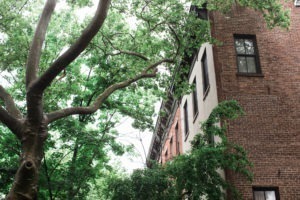 Wedding at 501 Union in Brooklyn. Photos by Kelly Kollar Photography.