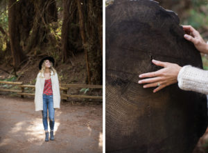 Muir Woods Redwoods engagement session outside San Francisco.