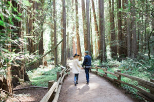 Muir Woods Redwoods engagement session outside San Francisco.