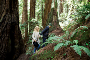 Muir Woods Redwoods engagement session outside San Francisco.