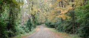 Troutbeck Wedding Amenia